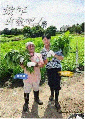 再见爱人